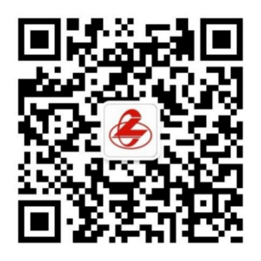 6391591298061100616132052